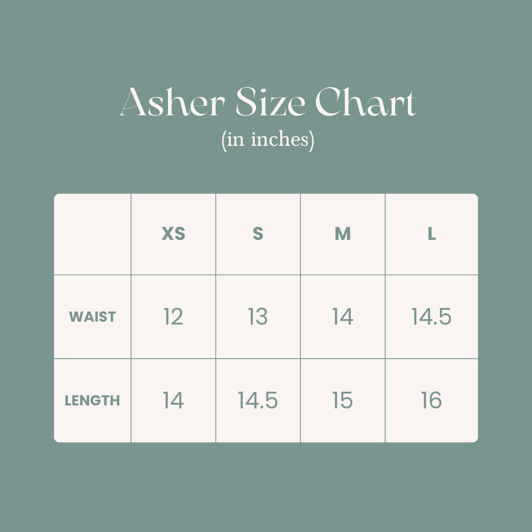 Asher Shorts